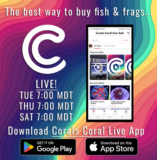 Join our Live Sales on the Corals Coral Live App