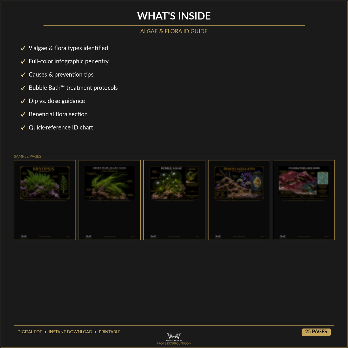 Algae & Flora ID Guide — Digital Download