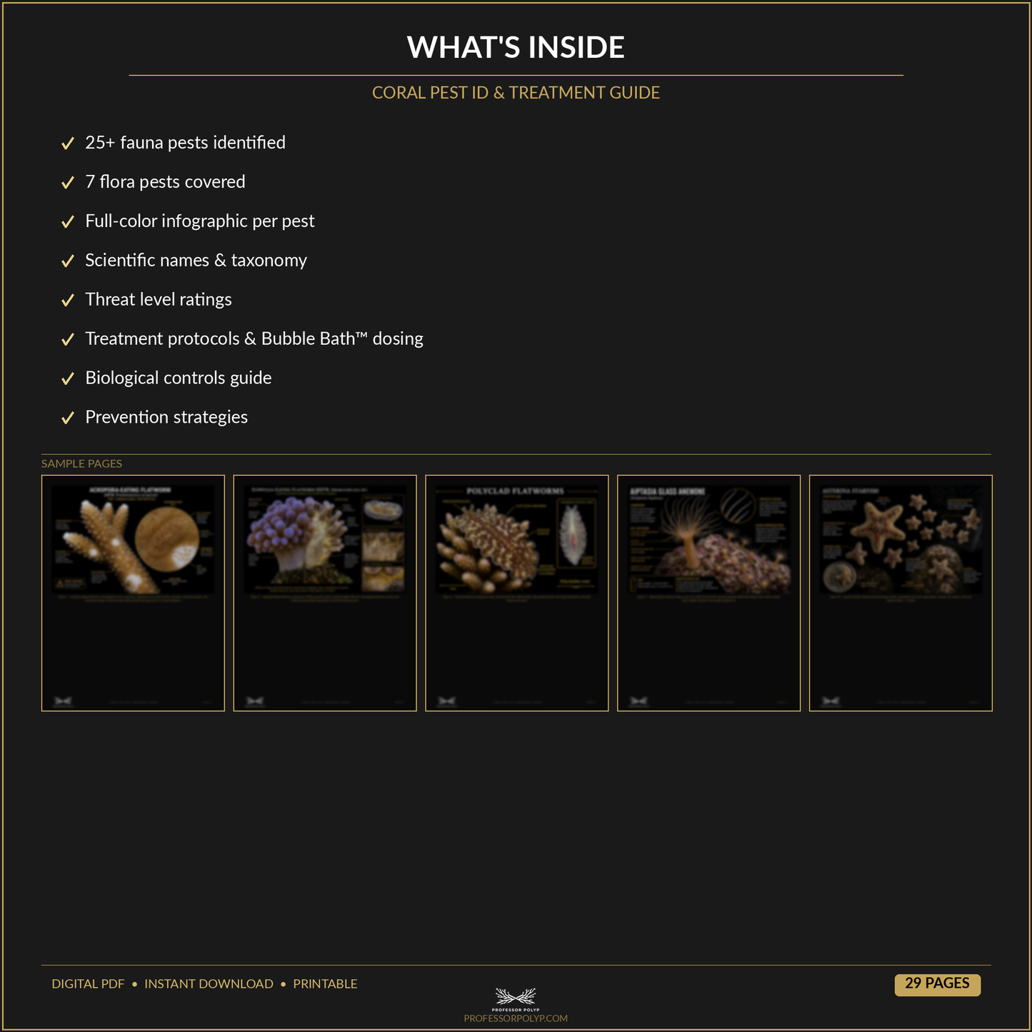 Coral Pest ID & Treatment Guide — Digital Download