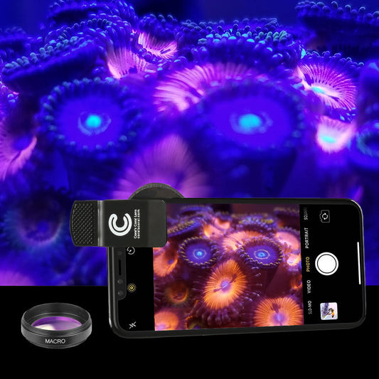 Picture Perfect: Why You Need Corals Coral Lens XL for Your Reef Tank