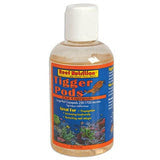 Reef Nutrition Tigger Pods 6oz