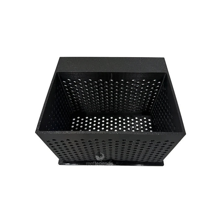 Anemone Box