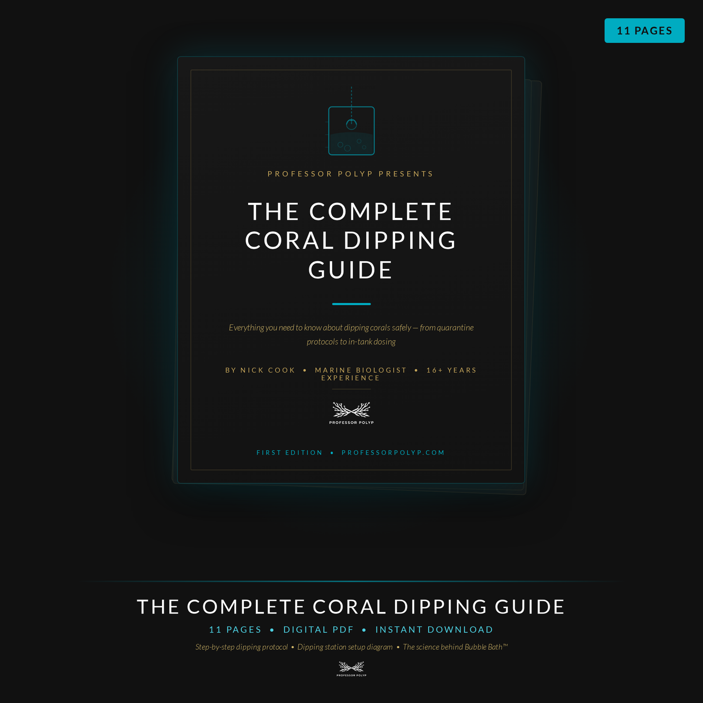 The Complete Coral Dipping Guide — Digital Download