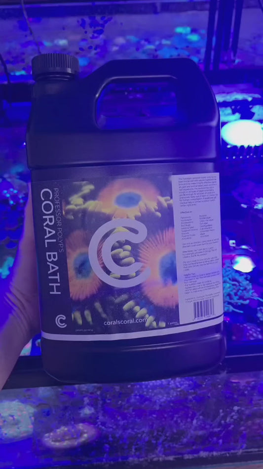 Professor Polyp's Bubble Bath Coral Dip