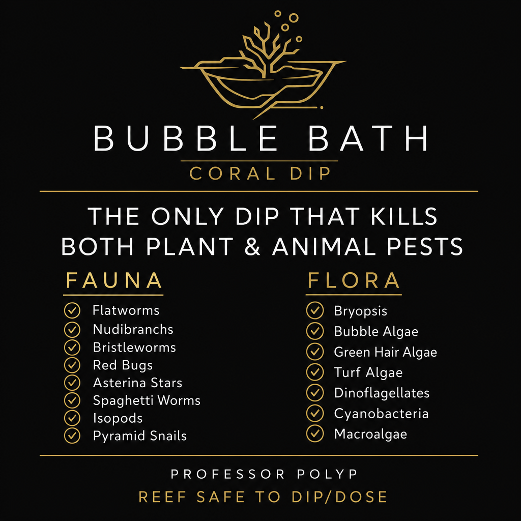 Professor Polyp's Bubble Bath Coral Dip